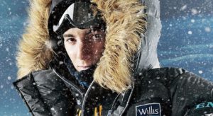 willis expedicao