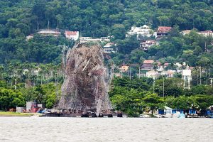 arvore 2015 destruida