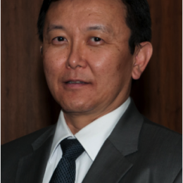 terra brasis paulo hayakawa