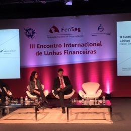 fenseg riscos financeiros 2