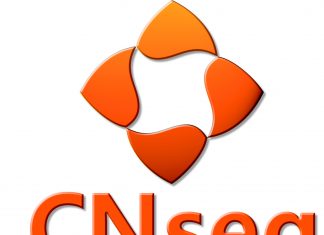 CNseg lança campanha sobre educação em seguros nas mídias sociais