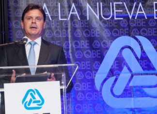 Peter Rebrin é o novo CEO da QBE Brasil