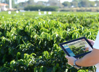 Swiss Re Corporate Solutions vende seguro paramétrico para a Agrícola Xingu