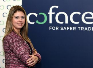 Coface lança simulador para gestão de risco financeiro