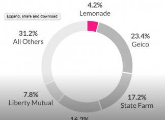 Lemonade avança em mercado de novos consumidores de seguros