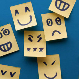 Captura de Tela 2018-02-15 às 19.50.06