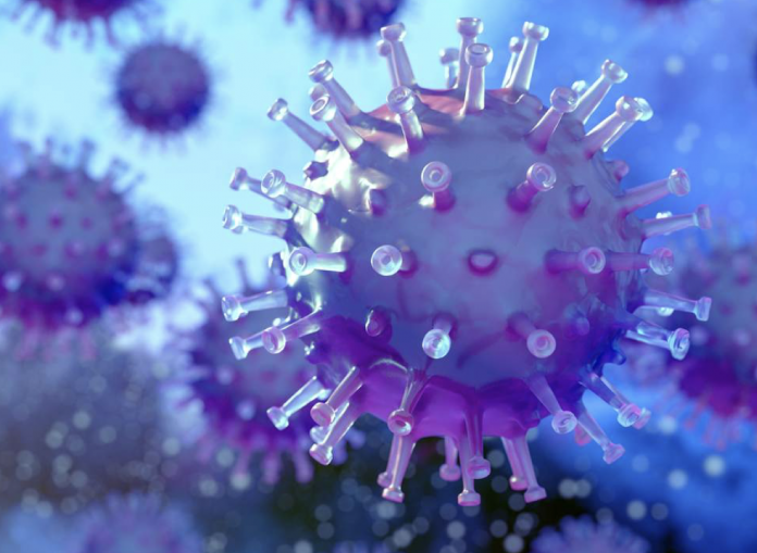 zurich estudo zurich estudo