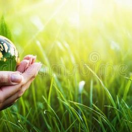 sustentabilidade 3