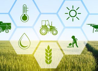 CNseg: seguro rural recua em 2025 e reforça debate sobre financiamento e proteção do agro brasileiro seguro rural MAPA