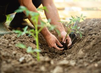 Zurich adere ao IPC, Investidores Pelo Clima zurich sustentabilidade blog sonho seguro