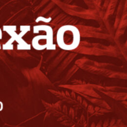 Captura-de-Tela-2021-09-10-as-11.22.48