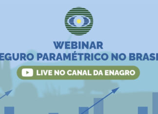 Ministra participa de webinar sobre seguro paramétrico nesta sexta (15)