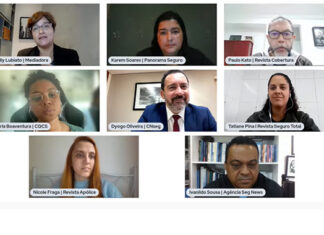 É preciso colocar a representatividade da indústria do seguro em seu devido lugar”