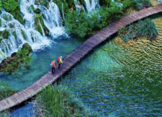 Seguradoras implementarão metas de ESG em seus portfólios nos próximos 24 meses, revela estudo da BlackRock estudo blackrock seguradora insurance