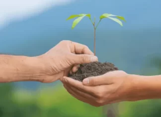 MetLife realiza o plantio de mais de 5.000 mudas de árvores na região de Nazaré Paulista