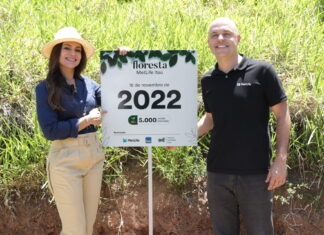 ESG: seguradora tem mais de 10 projetos, sendo um deles a Floresta MetLife