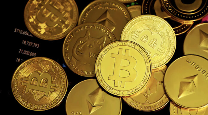 cripotomoedas seguradoras