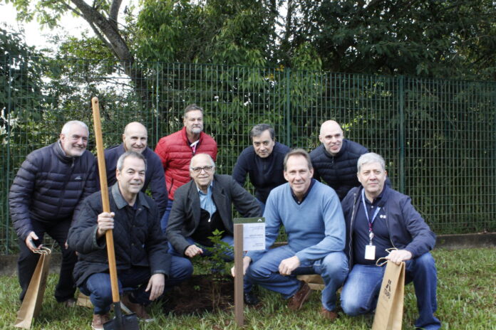 sura seguros sura seguros