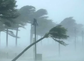 Seguradoras mobilizam força-tarefa para apoiar clientes e comunidades atingidas por tornados e chuvas no Sul do País