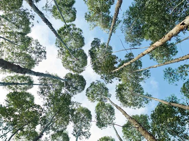 seguros ESG seguros ESG