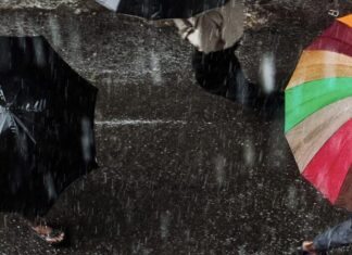 Riscos cibernéticos, tecnologia e macroeconomia lideram riscos de seguros no Brasil principais riscos para seguradoras