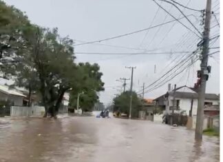 Corretora de seguros REP ajuda no resgate de clientes, funcionários e comunidade