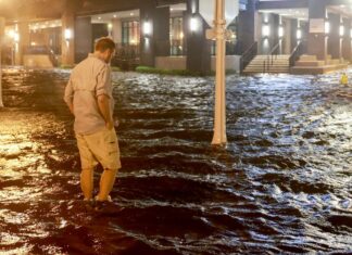 Perdas do setor de seguros com furação Milton são revistas para baixo