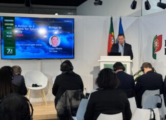 CNseg é a primeira entidade a aderir ao Fórum para a Transição de Seguros para Zero Emissões (FIT), da ONU