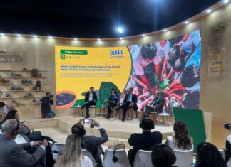 Seguradoras, bancos e setor produtivo têm compromissos para aumentar resiliência com crise climática