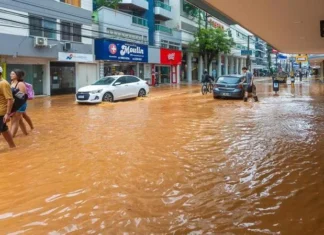 Allianz aciona ações especiais em Santa Catarina em decorrência das fortes chuvas