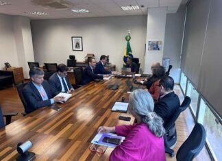 CNseg apresenta projetos do setor segurador para mitigação de riscos climáticos à ministra Marina Silva
