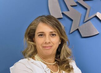 Com investimento em APIs, allseg amplia oportunidades para parceiros