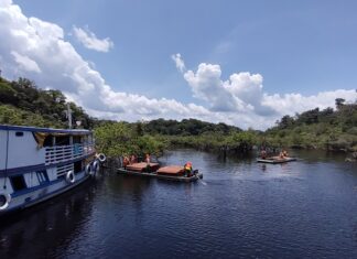 CNP Assurances renova apoio ao projeto Conexão Amazônia Grupo