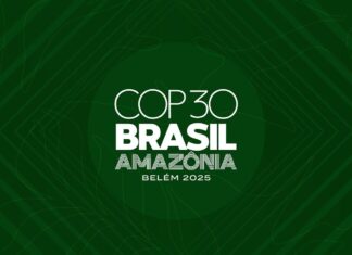 Anbima, CNseg e Febraban debatem o papel do sistema financeiro na transição climática global durante a COP30