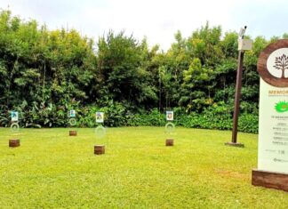 MAG Seguros expande oferta de seguro funerário sustentável para a Grande São Paulo