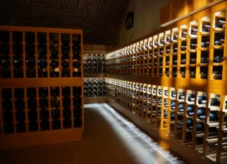 Seguros e vinícolas: a gestão de risco por trás dos grandes vinhos