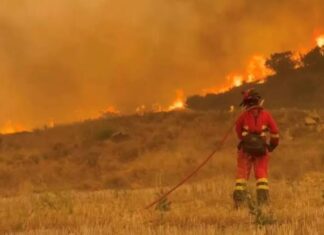 Incêndios na França e Espanha devem impulsionar demanda por seguros, avalia Swiss Re
