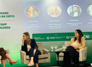 Seguro ganha espaço na estruturação de investimentos climáticos