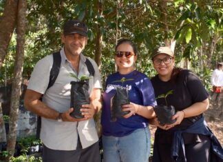 CNP Seguradora chega à terceira fase do Conexão Amazônia com R$ 7,5 milhões e foco em transformar floresta em renda